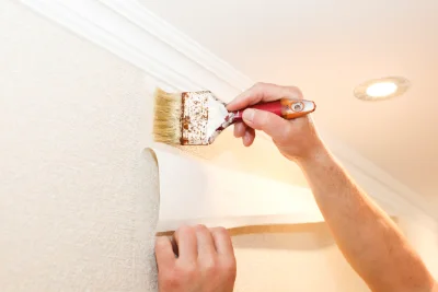 Pose de papier peint dans le Rhône — revêtements muraux et toiles de verre
